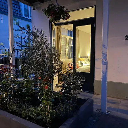 Apartment Palm Tree House