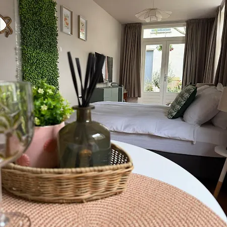 Palm Tree House Zandvoort