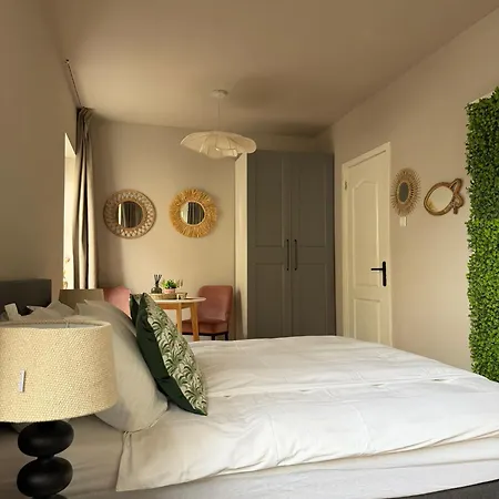Palm Tree House ザントフォールト